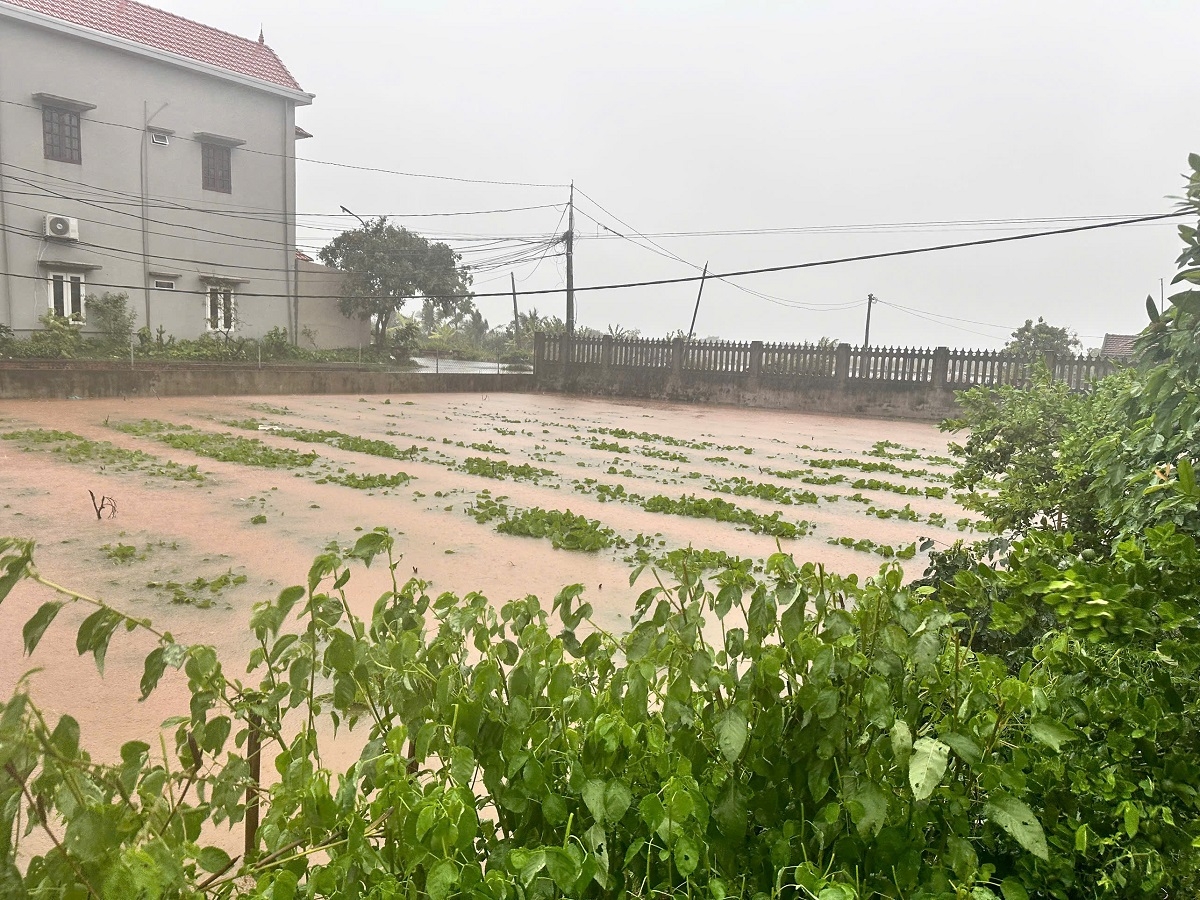 Áp thấp nhiệt đới trên Biển Đông có khả năng mạnh lên thành bão, gây mưa lớn, nguy cơ lũ, ngập lụt và sạt lở đất.