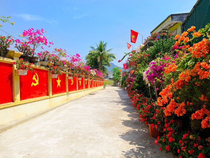 Điểm check-in rực rỡ nhất xã Tân Kỳ trong dịp kỷ niệm 80 năm Quốc khánh