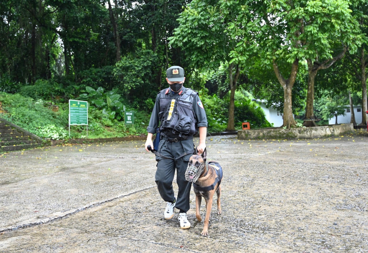 Đoàn tìm kiếm tổng cộng có 86 người cùng 7 chó nghiệp vụ.