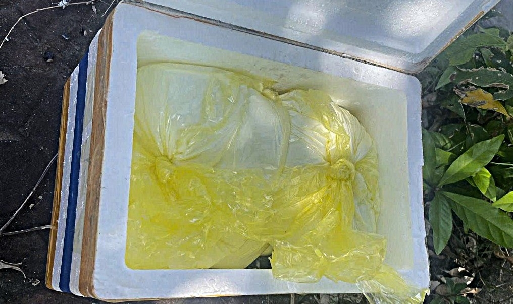 Số ma túy được nguỵ trang ở các hộp sữa đựng trong thùng xốp. Ảnh: Phan Tuyết.