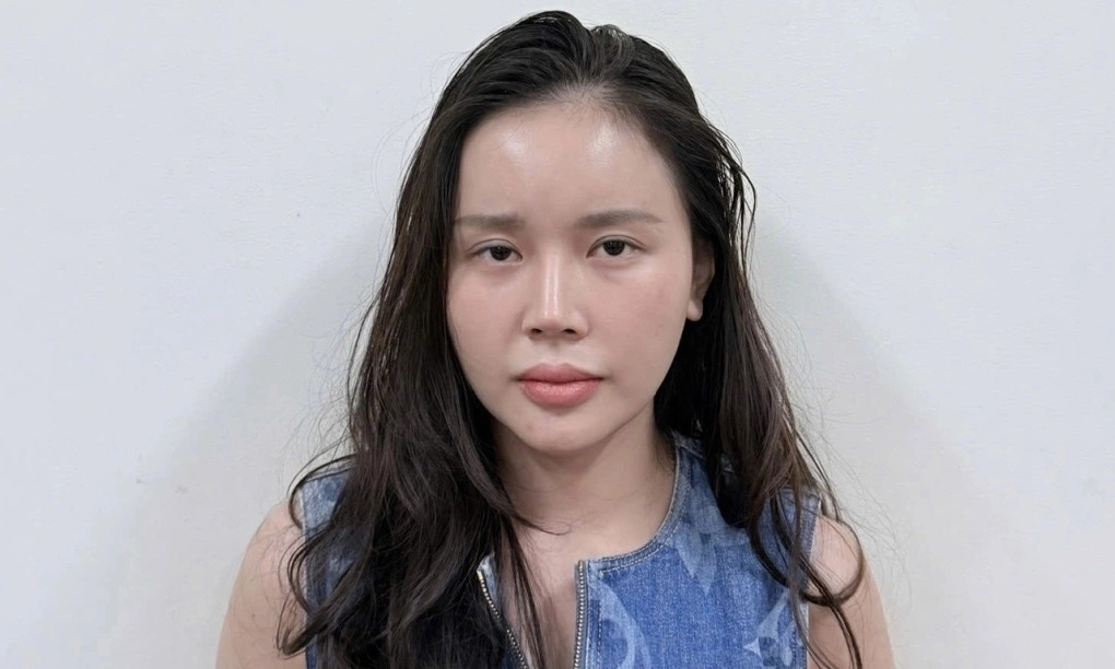 Lê Hương Ly bị khởi tố với cáo buộc vì mâu thuẫn cá nhân đã đăng lên mạng xã hội bài viết có nội dung vu khống Hoa hậu Bùi Quỳnh Hoa.