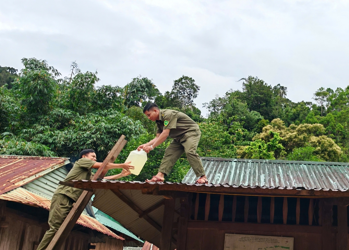 Dân quân tự vệ xã A Vương, TP Đà Nẵng giúp dân chằng chống nhà cửa đề phòng tốc mái 