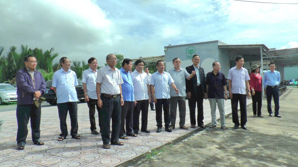 Đoàn khách tham quan ao nuôi tôm công nghệ cao của ông Ngô Minh Tuấn