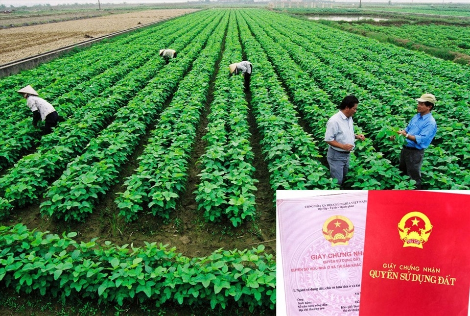 Sắp có nghị quyết gỡ vướng tiền đất, giảm áp lực cho dân khi chuyển sang đất ở (Ảnh minh họa: KT)