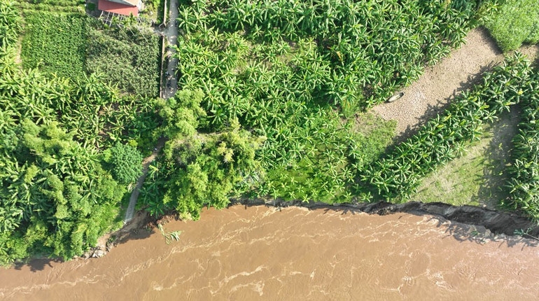 Sạt lở khiến nhiều diện tích hoa màu của người dân bị nước cuốn trôi. Ảnh: UBND xã Tam Nông