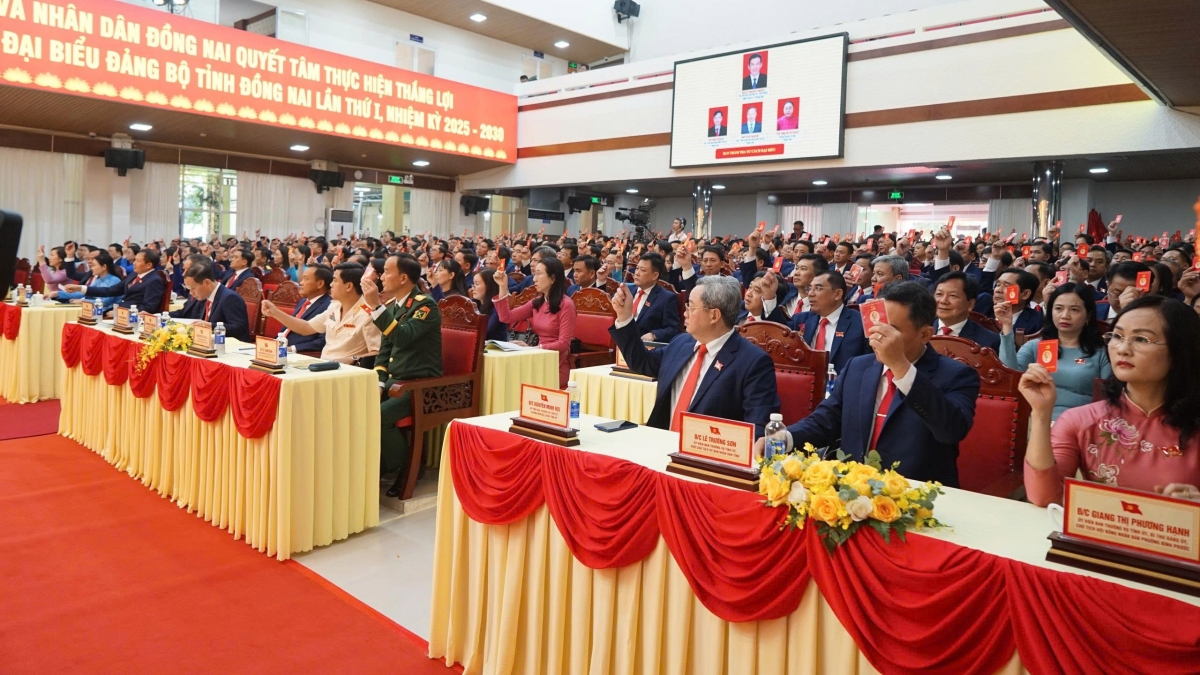 Các đại biểu thực hiện các thủ tục trong phiên trù bị