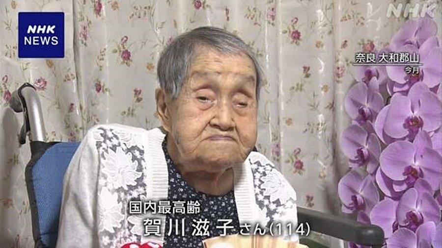 Cụ bà Shigeko Kagawa, 114 tuổi, người cao tuổi nhất tại Nhật Bản hiện nay. Ảnh: NHK.