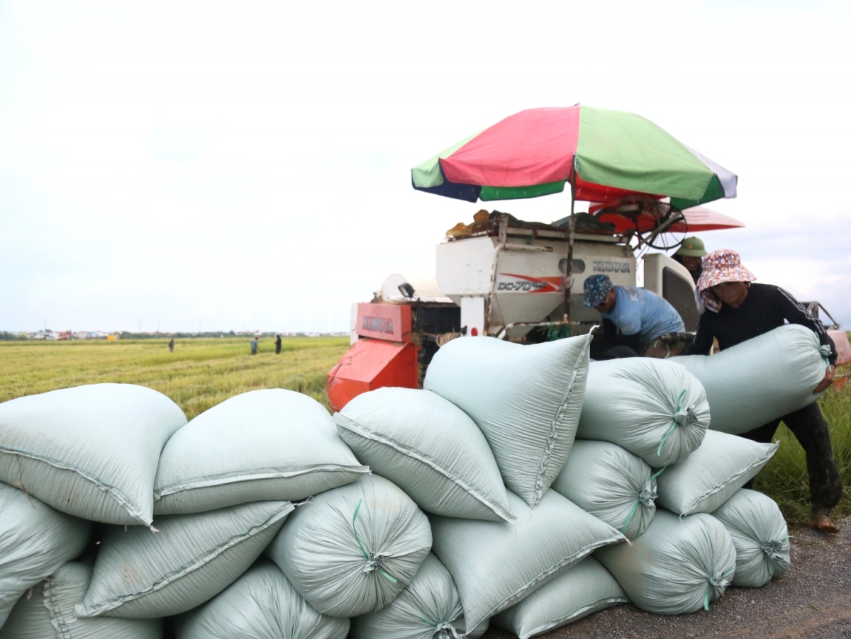 Nhờ cơ giới hóa, việc thu hoạch vụ mùa được nhanh chóng