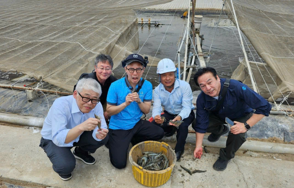 Ông Ngô Minh Tuấn và các đối tác nước ngoài đến thăm ao tôm công nghệ cao