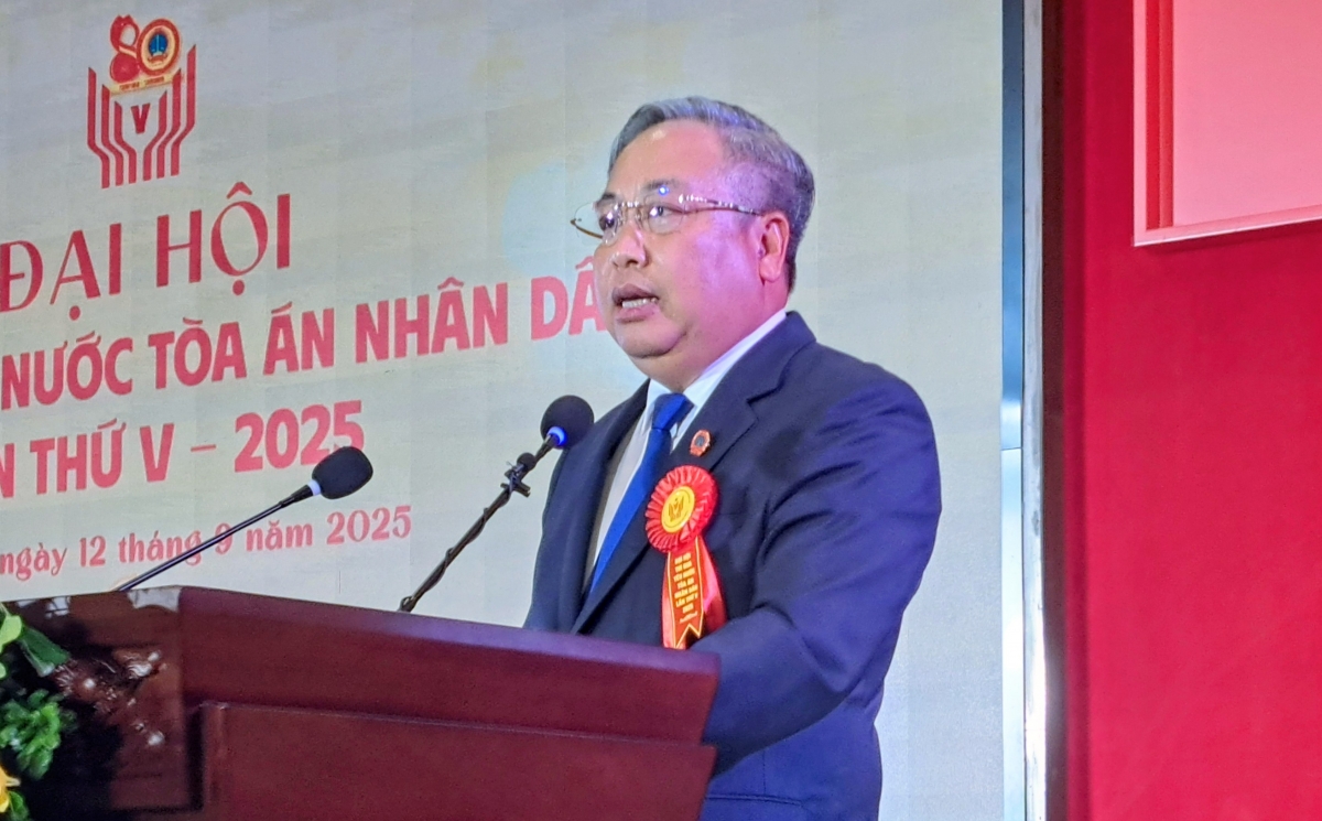 Phó Chánh án Tòa án nhân dân tối cao Phạm Quốc Hưng phát biểu tại đại hội