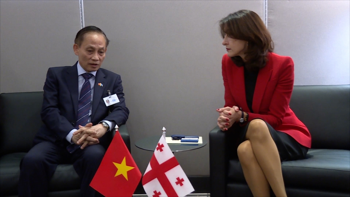 Quyền Bộ trưởng Ngoại giao Lê Hoài Trung gặp Bộ trưởng Ngoại giao Georgia (Ảnh: BNG)