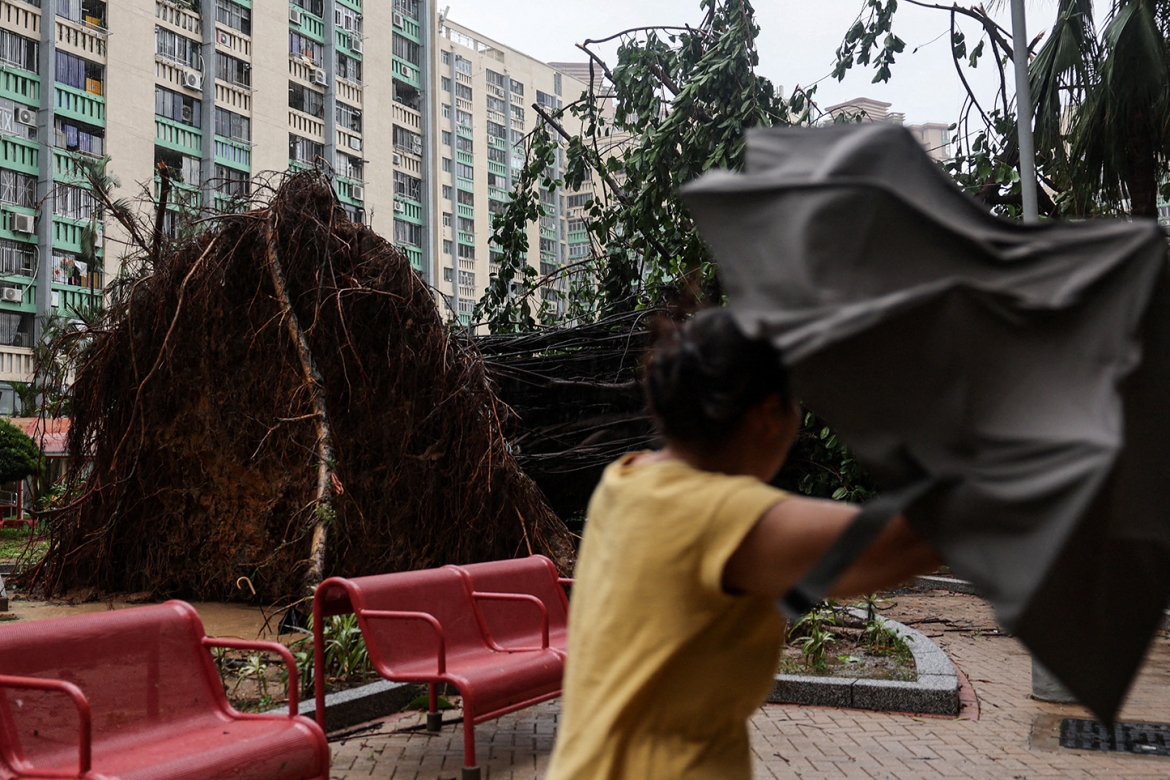 Người phụ nữ đi ngang qua một cây lớn bị siêu bão Ragasa quật đổ ở Hong Kong, Trung Quốc, ngày 24/9/2025. Ảnh: Reuters.