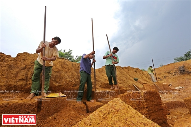 Đá ong có cấu tạo mềm, xốp, lỗ chỗ như tổ ong nằm dưới đất
và được coi là một nguồn nhiên liệu độc đáo của người dân xã Bình Yên. (Nguồn: Báo Ảnh VN)