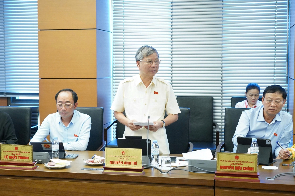 Đại biểu Nguyễn Anh Trí, đoàn Hà Nội