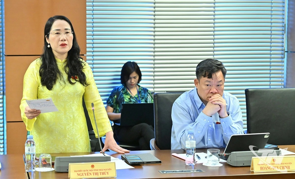 Phó Chủ nhiệm Ủy ban Pháp luật và Tư pháp của Quốc hội Nguyễn Thị Thủy