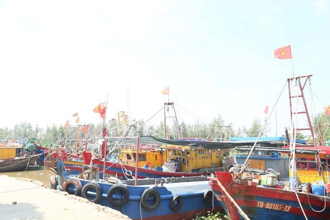 Hiện tỉnh Hưng Yên có 734 tàu cá đang hoạt động khai thác thủy sản, 100% tàu cá được kẻ biển