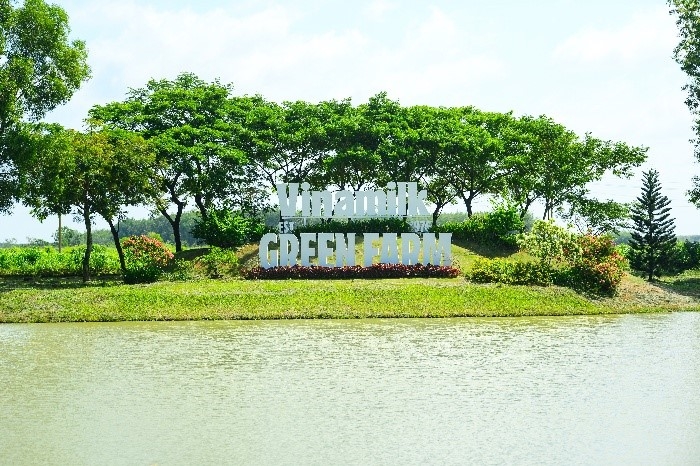 Trang trại bò sữa công nghệ cao của Vinamilk – một mắt xích quan trọng trong chuỗi sản xuất khép kín từ trang trại đến ly sữa, minh chứng cho tầm nhìn phát triển bền vững và cam kết mang đến