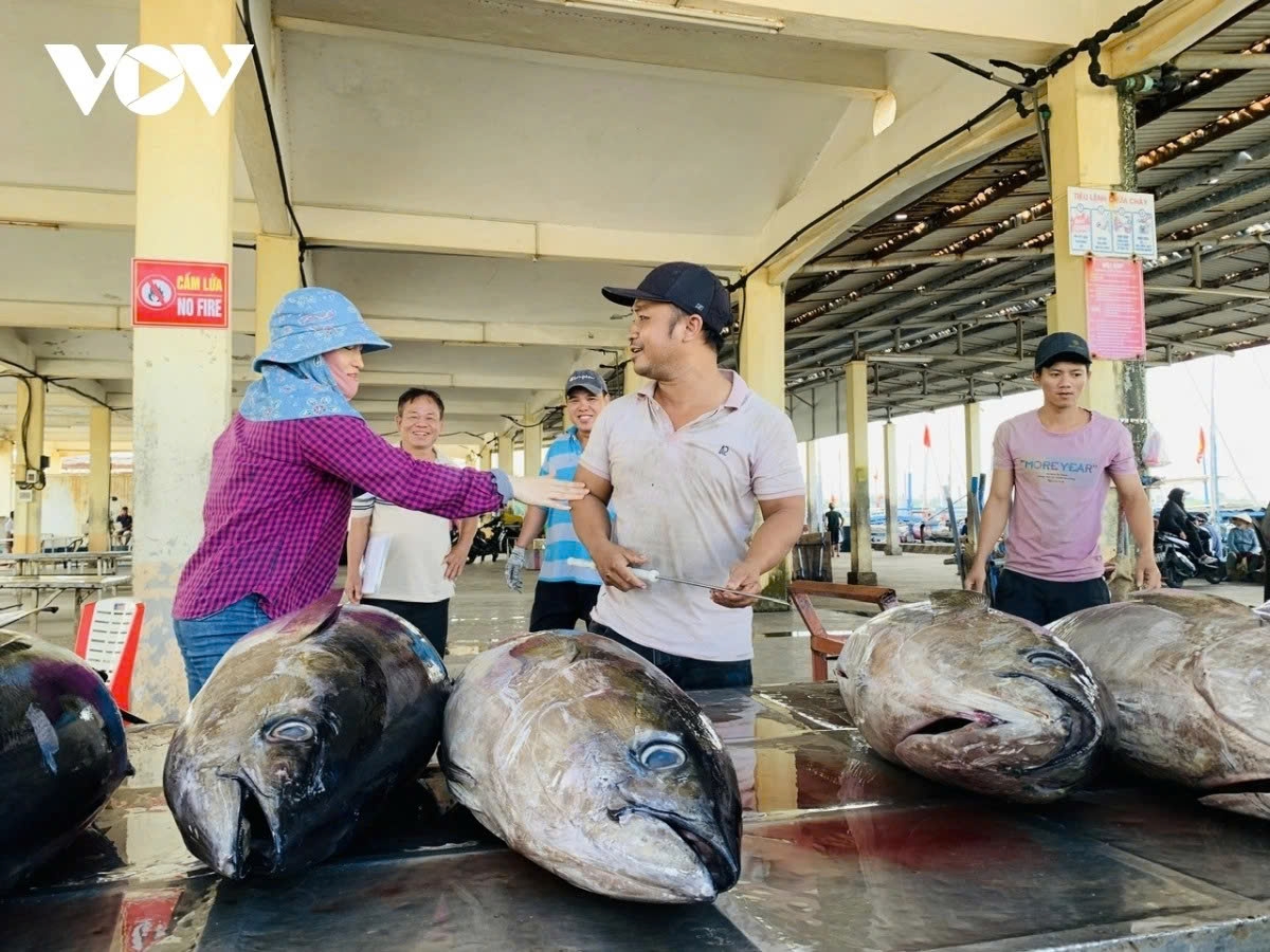 Thủ tướng Chính phủ Phạm Minh Chính ký Quyết định số 2310/QĐ-TTg ban hành “Kế hoạch hành động tháng cao điểm chống khai thác hải sản bất hợp pháp, không báo cáo, không theo quy định (IUU) và phát triển bền vững ngành thủy sản Việt Nam.