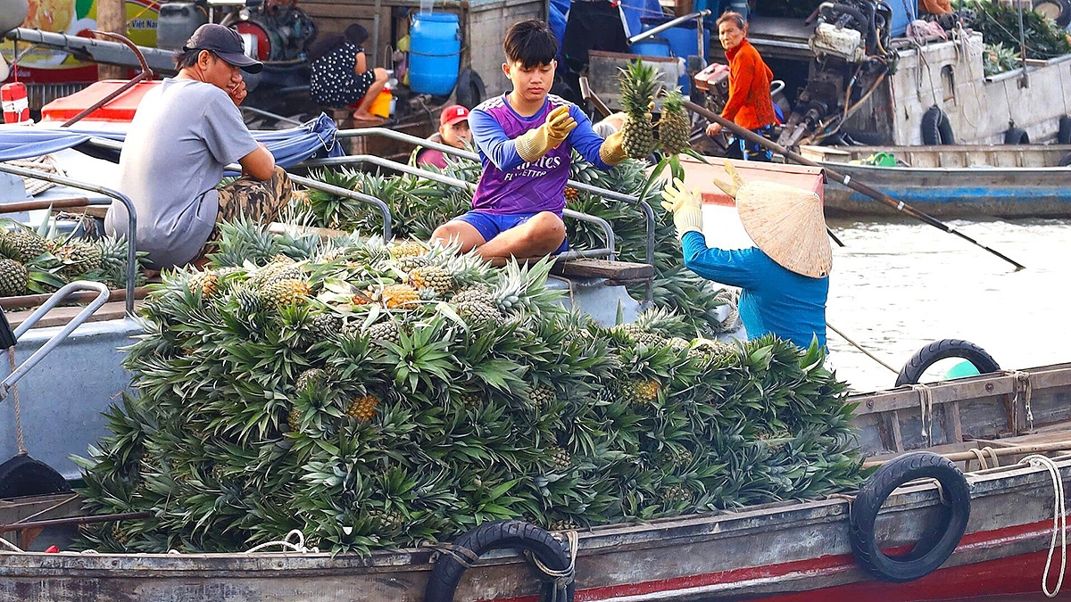 Chợ nổi Cái Răng đang được Cần Thơ tu bổ để lồng ghép các giá trị di sản, khai thác du lịch.