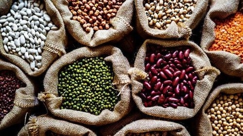Đậu, đỗ phơi khô là loại thực phẩm có thể bảo quản trong thời gian dài