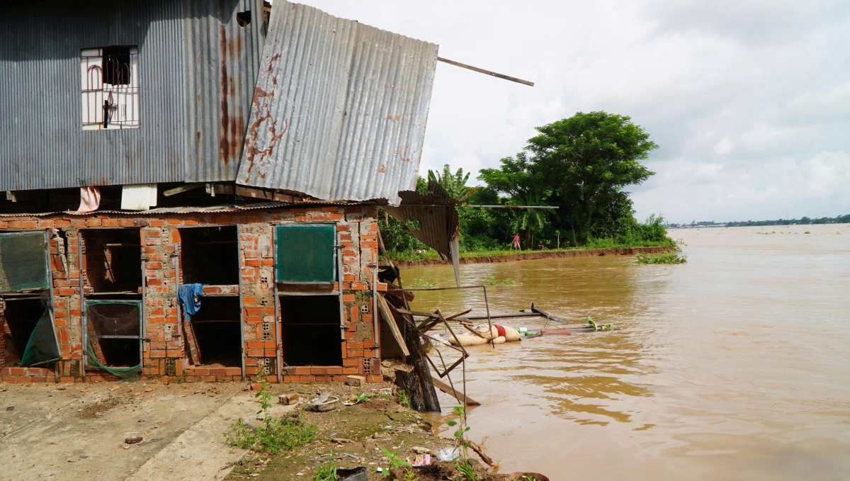 Điểm sạt lở ven sông Tiền tại xã Tân Long đe dọa nhiều nhà dân