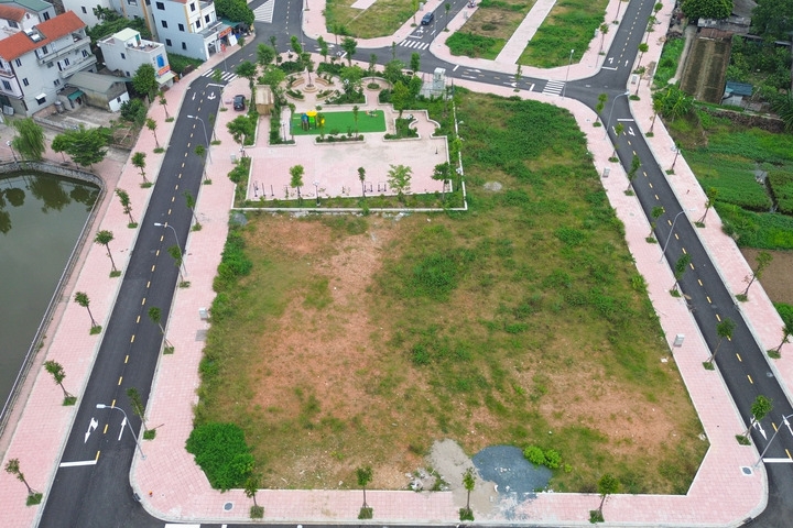 Cần xác định giá khởi điểm sát với giá thị trường sẽ giúp hạn chế bỏ cọc.