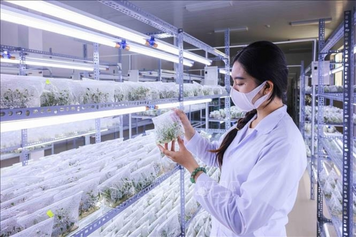 Khoa học công nghệ, đòn bẩy cho sự phát triển