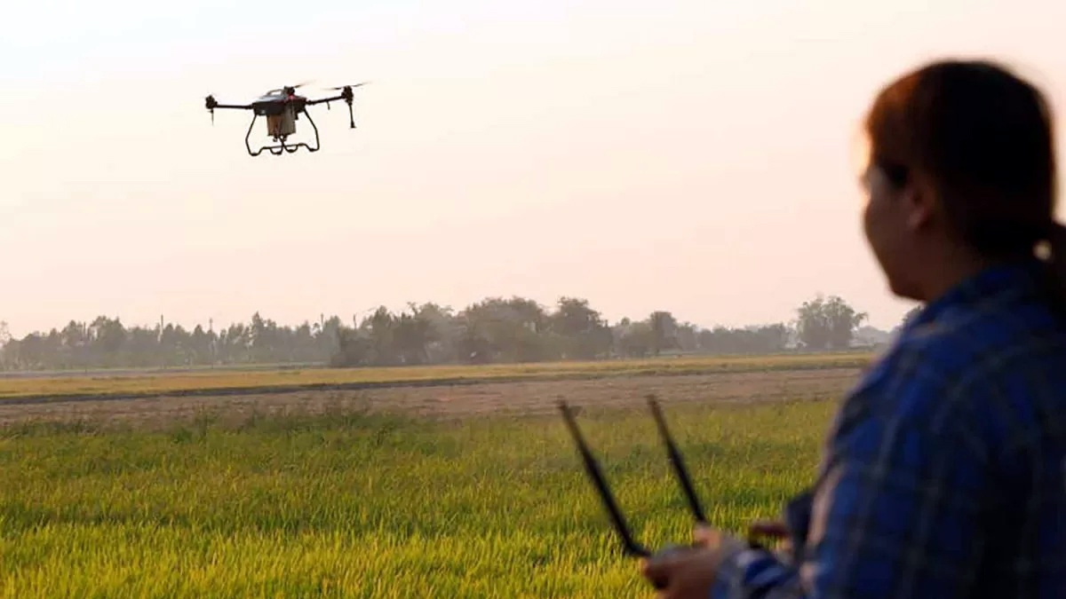 Thái Lan chuẩn bị triển khai chính sách “Trợ giá 1/2 dịch vụ máy bay không người lái để sản xuất nông nghiệp” - Ảnh minh họa: Bangkok Post