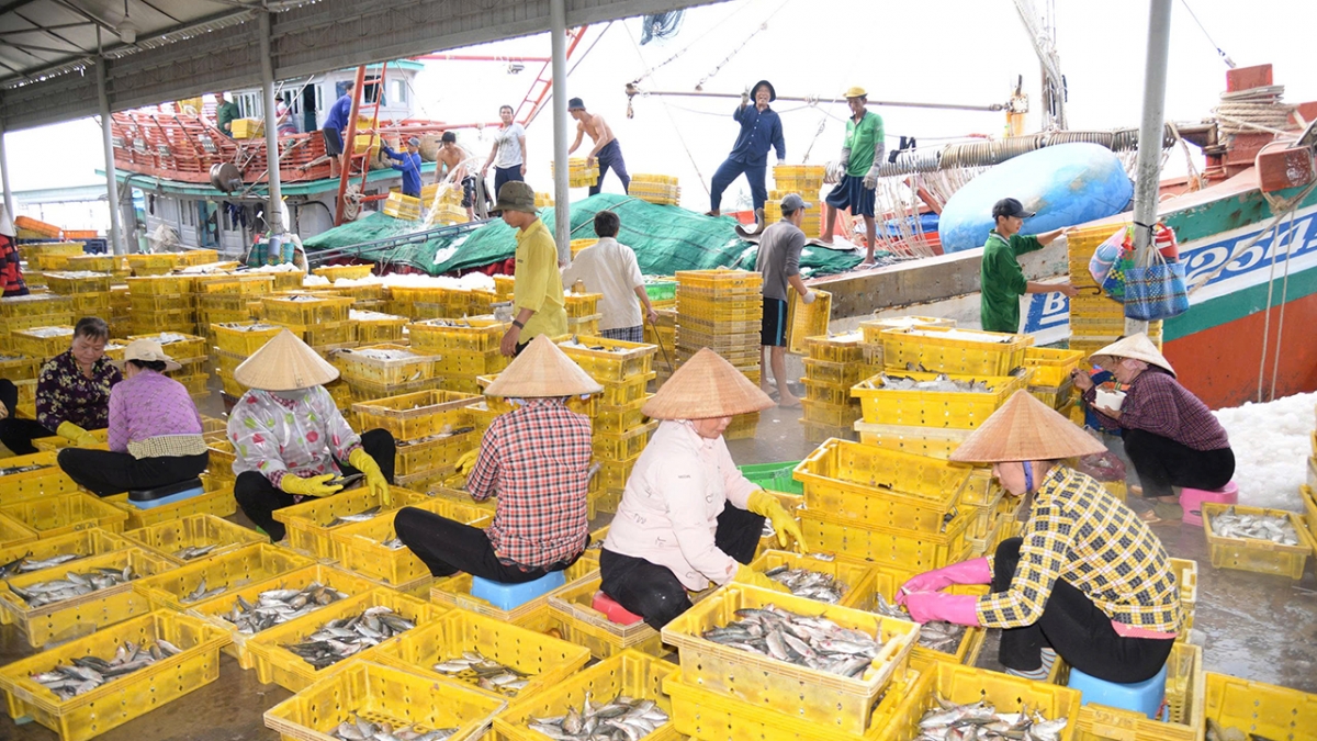 Các phương tiện vào cảng cá đều chấp hành tốt các quy định IUU và các quy định của Ban quản lý Cảng cá