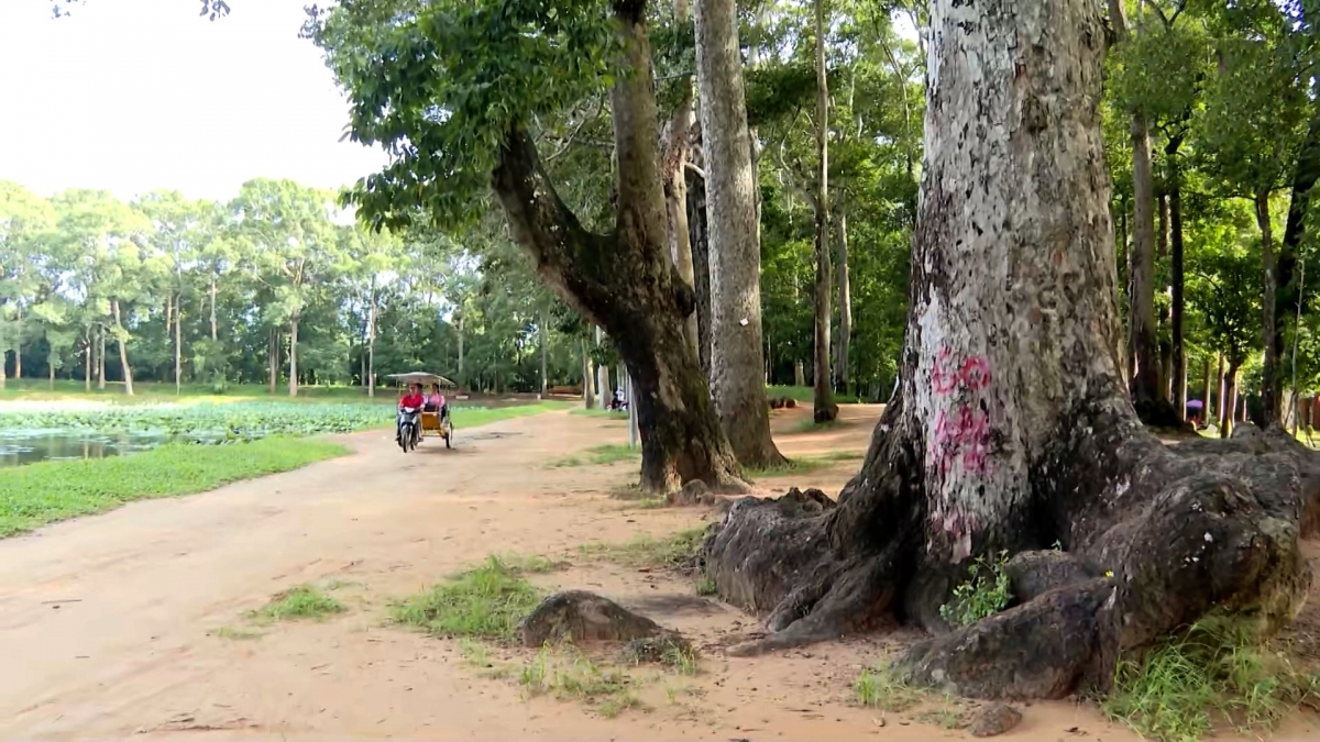 Một góc của khu di tích Ao Bà Om