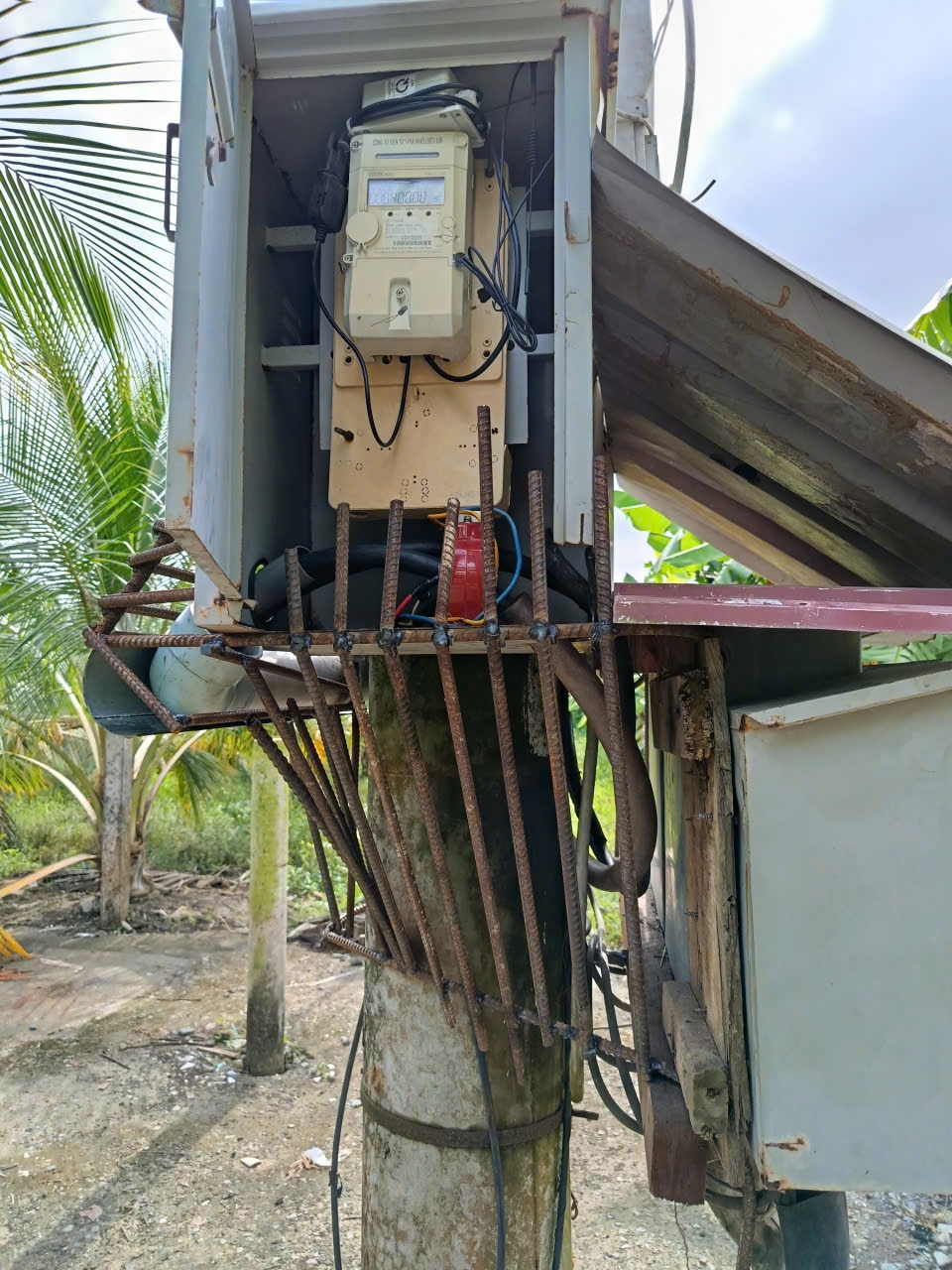 Nhà vườn phải tốn kinh phí khắc phục sau mỗi lần bị trộm cắt lấy dây cáp đồng 