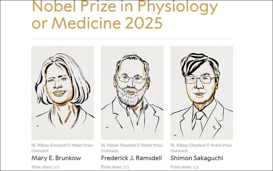 Các nhà khoa học đoạt giải Nobel Y sinh 2025. Ảnh: Nobel Prize.