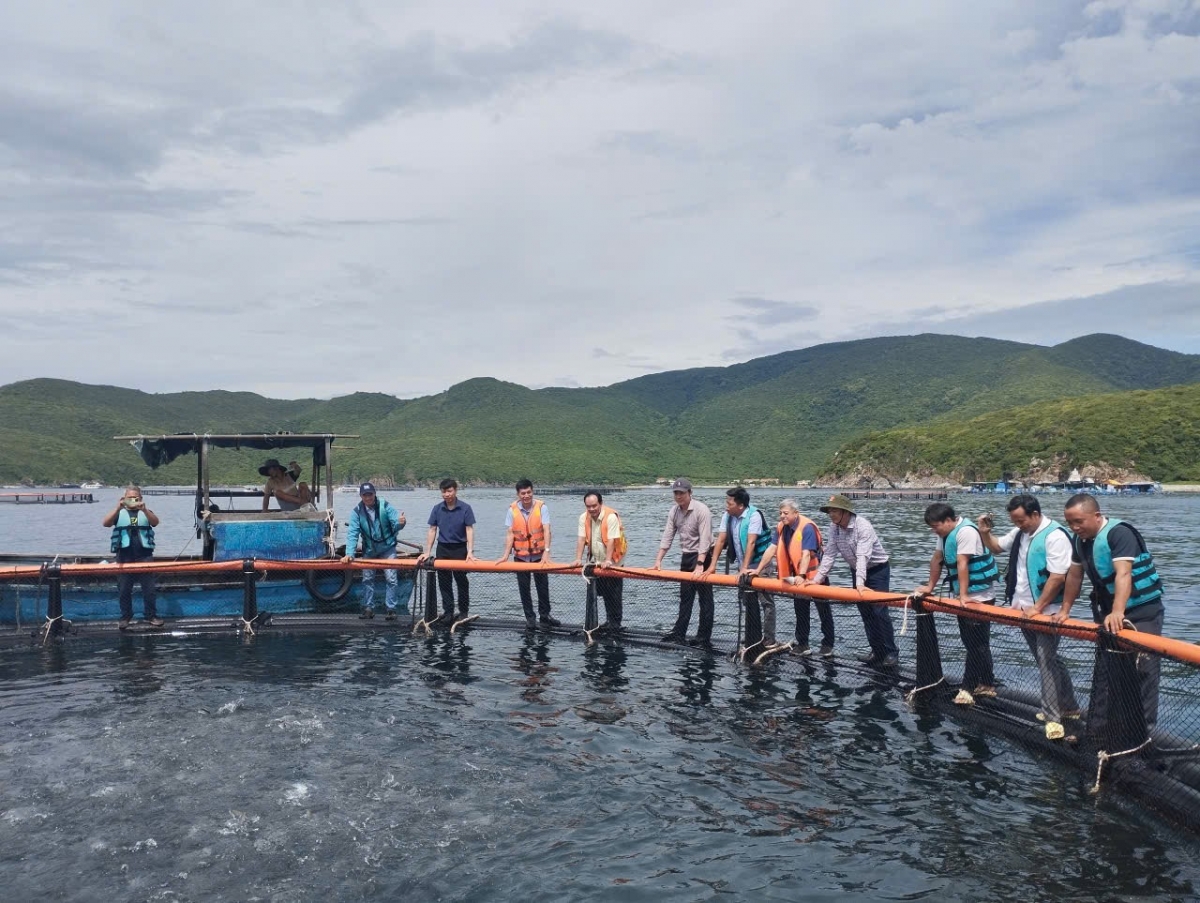 Nông dân tham quan mô hình thí điểm nuôi biển công nghệ cao, chuyển đổi từ lồng gỗ sang lồng nhựa