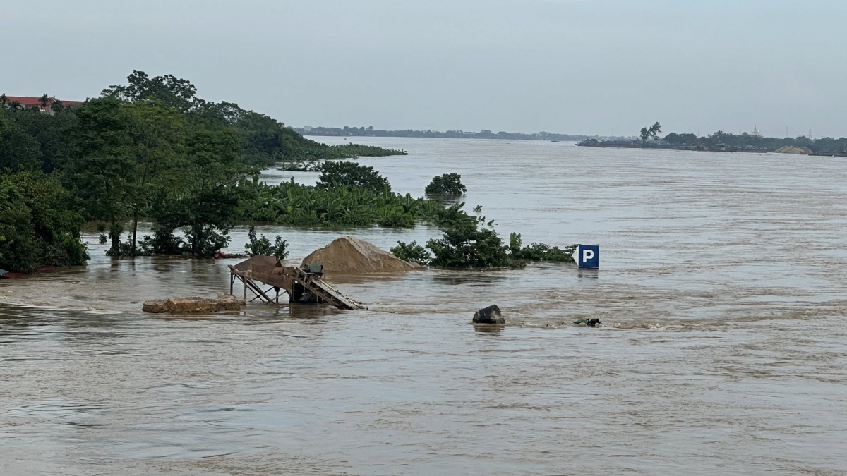 Nhiều diện tích hoa màu của các xã dọc sông Lô bị ảnh hưởng nghiêm trọng. Ảnh PTO.