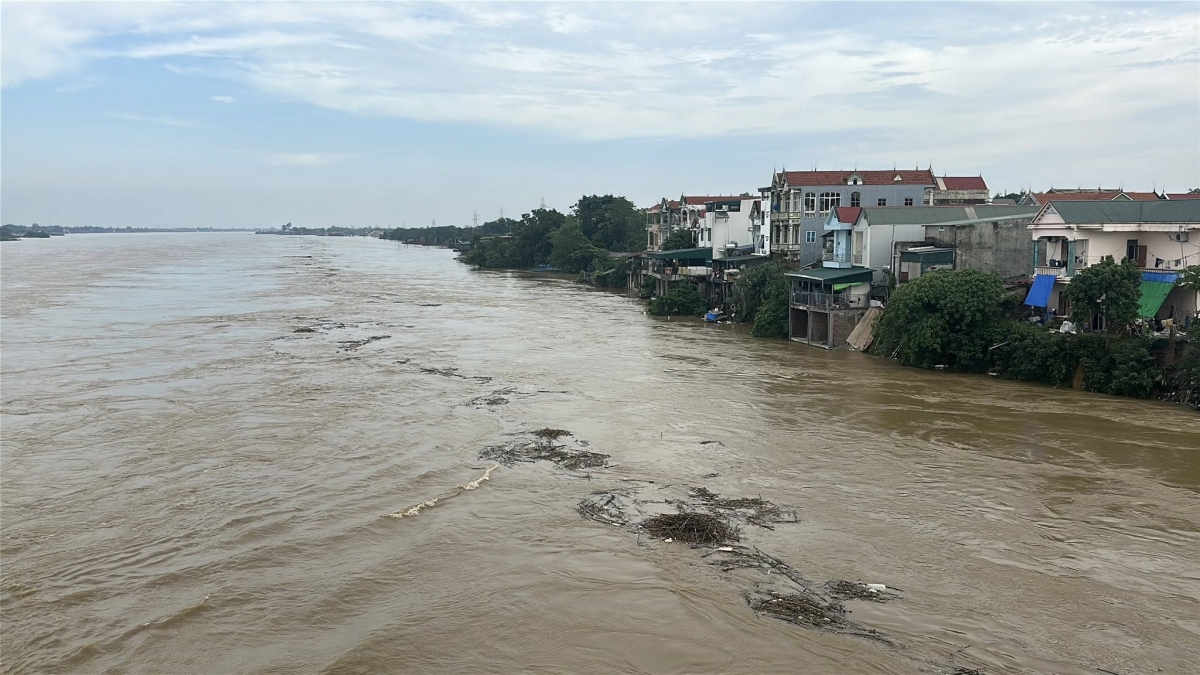 Hiện mực nước các sông Hồng, sông Lô, sông Bứa vẫn dang lên nhanh, nhiều nhà đân cùng tài sản đang bị ngâm trong nước. Ảnh PTO