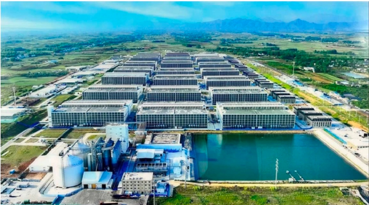 Dự kiến mô hình nuôi heo cao tầng đầu tiên tại Việt Nam