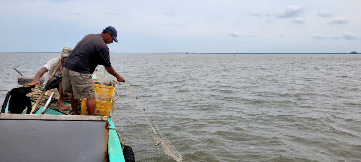 Thủy phận sông Tiền sẽ tổ chức khai thác cát theo hình thức xã hội hóa 