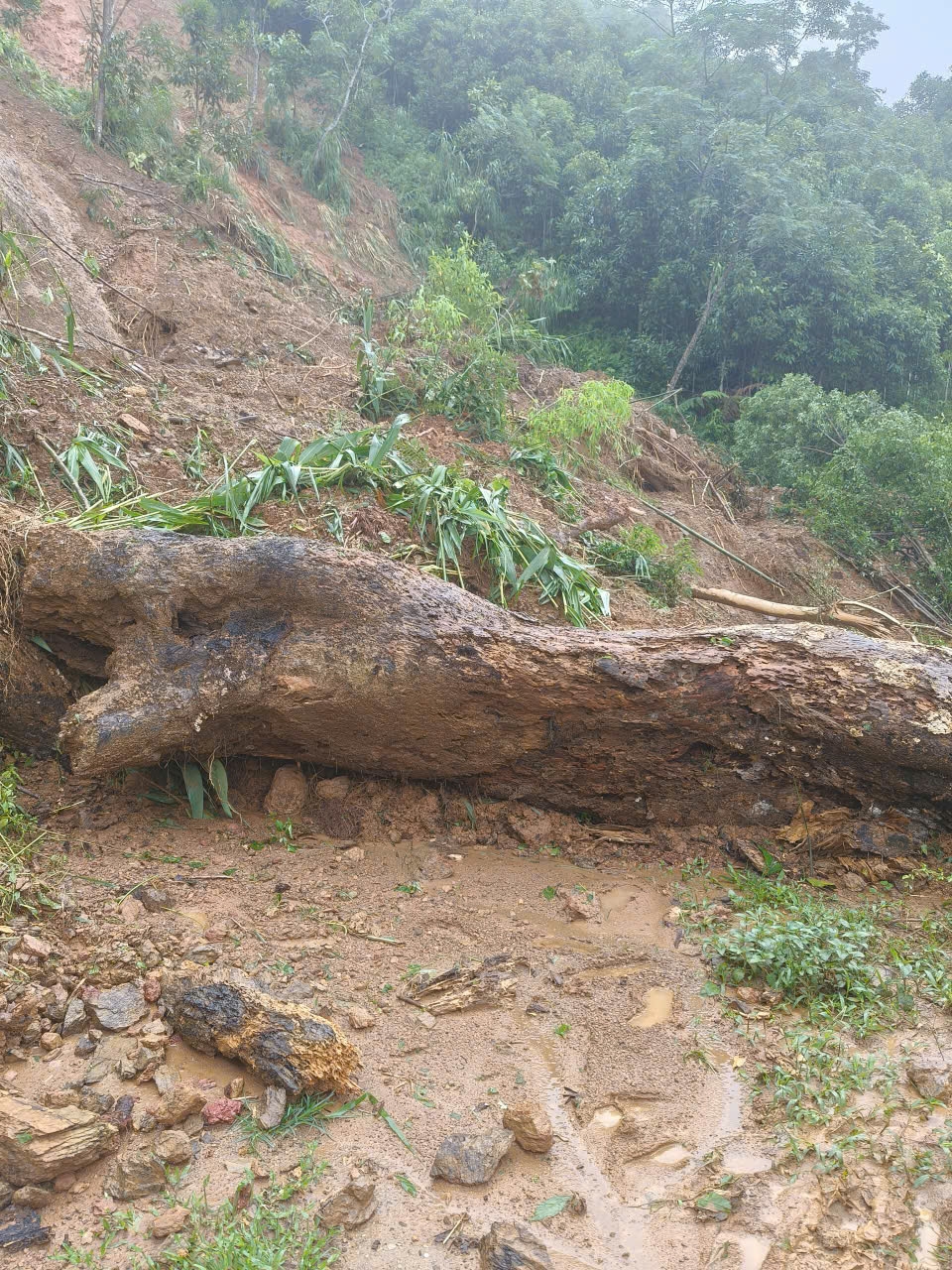 Hiện tại xã Mỏ Vàng còn thôn Khe Lóng 2 và Khe Lóng 3 chưa thể tiếp cận bằng xe máy