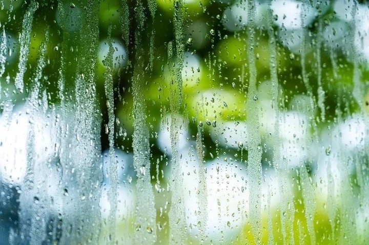 Cửa sổ vào mùa đông thường bị đọng nước. (Ảnh: Getty Images)