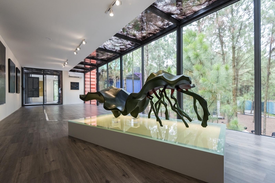 Không gian trưng bày giữa rừng thông