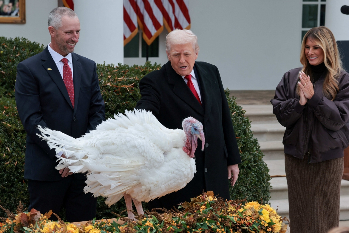 Hai chú gà tây đã được Tổng thống Donald Trump và Đệ nhất phu nhân ân xá qua đó không trở thành món chính trong bữa ăn tại ngày lễ Tạ ơn. (Ảnh: Reuters)