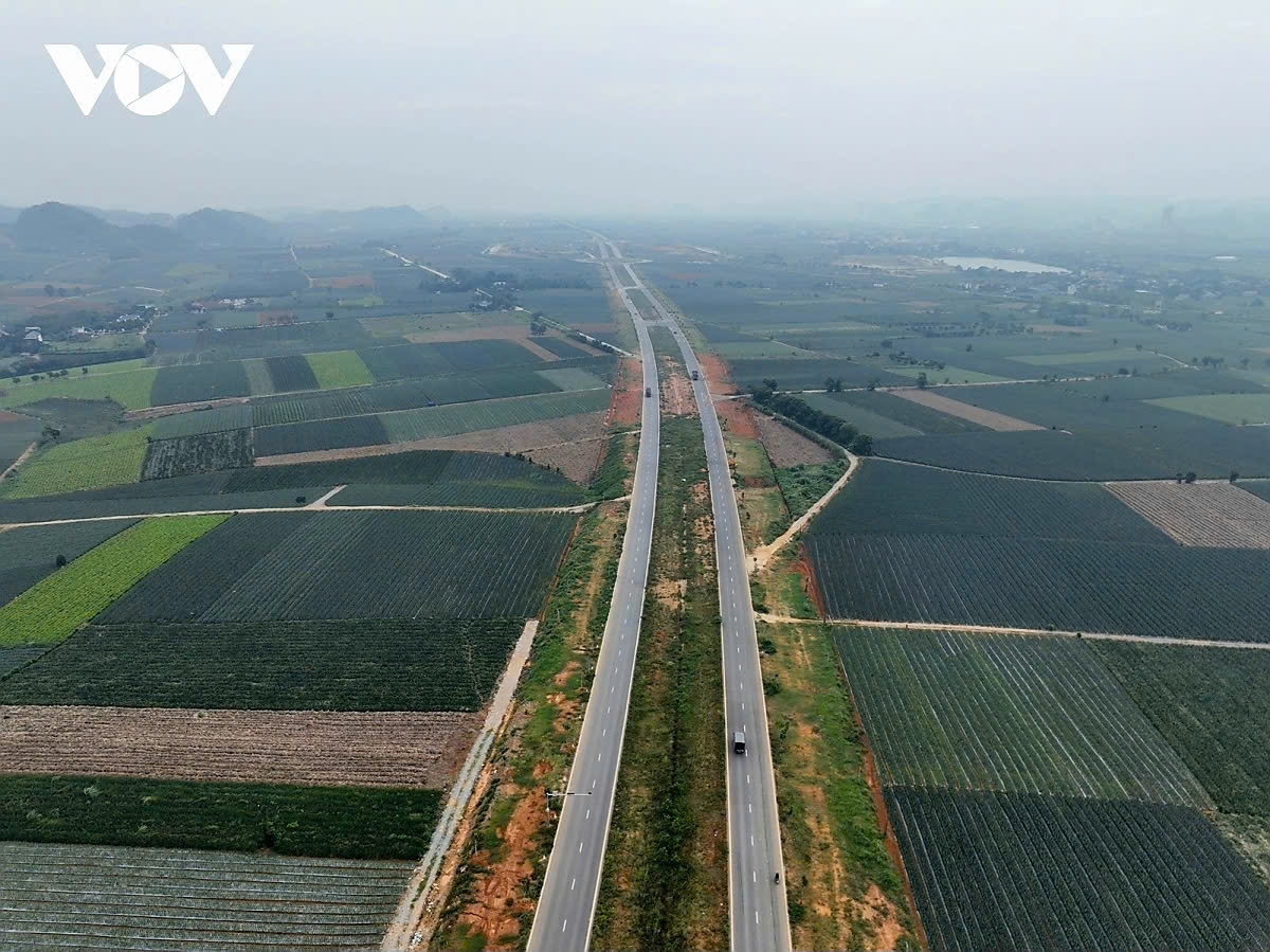 Cánh đồng dứa Đồng Giao nhìn từ trên cao trải dài bạt ngàn, những luống dứa xanh mướt xen lẫn sắc vàng của quả chín, tạo nên bức tranh sinh động giữa vùng bán sơn địa Ninh Bình.