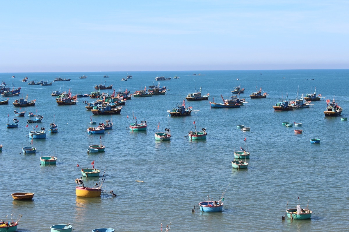 Theo ông Tạ Anh Tuấn, Chủ tịch UBND tỉnh Đắk Lắk nhấn mạnh: "Chống IUU không chỉ để gỡ thẻ vàng của EC mà còn là định hướng phát triển thuỷ sản bền vững".