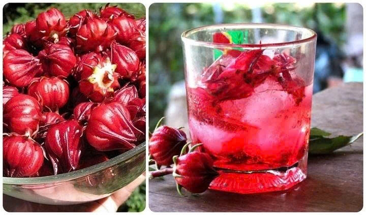 Các hoạt chất trong atiso giúp kích thích sản xuất và bài tiết mật, từ đó hỗ trợ tiêu hóa và hấp thụ chất béo tốt hơn