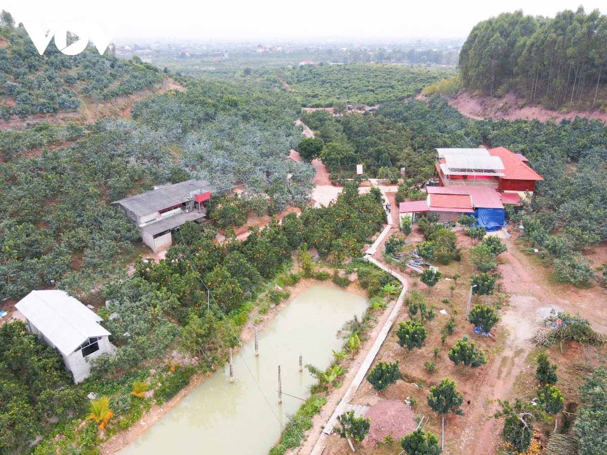 Toàn cảnh khu vực cây ăn quả