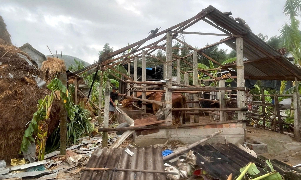 Chuồng trại chăn nuôi hư hỏng.