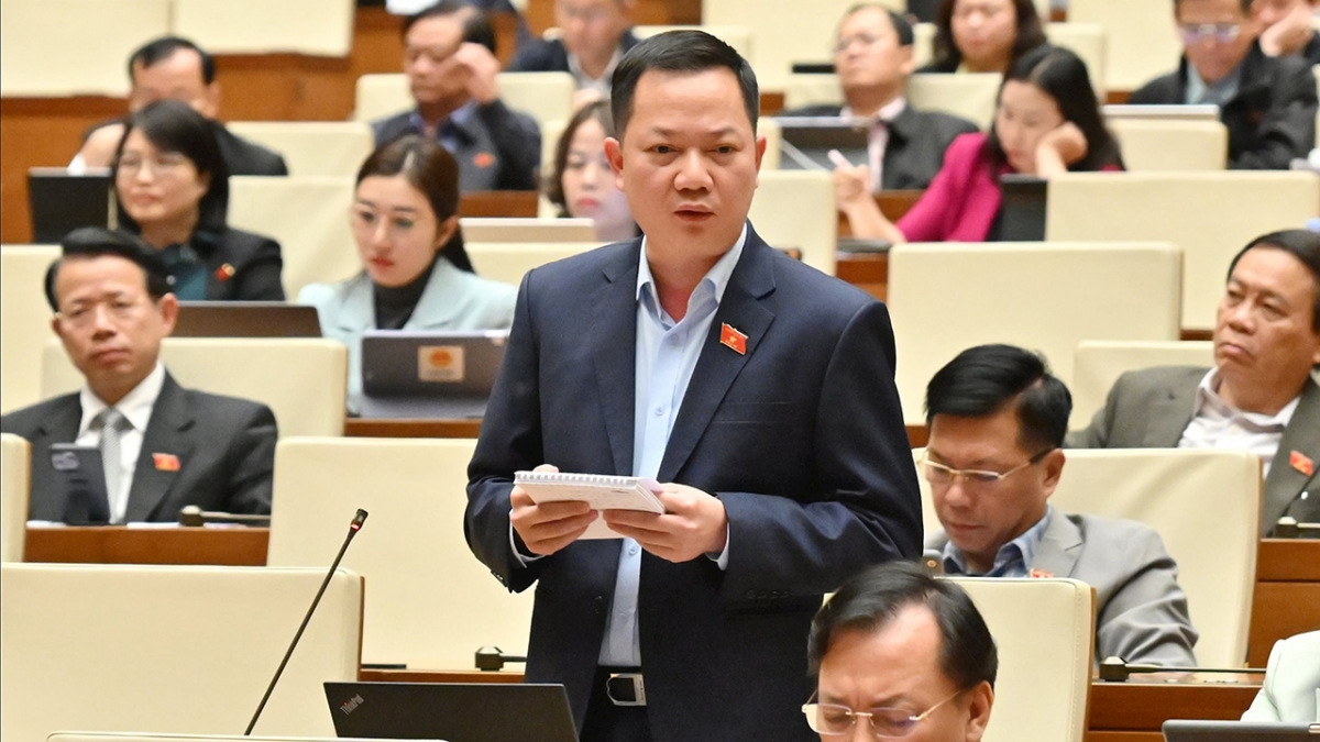 Đại biểu Trịnh Xuân An (đoàn Đồng Nai)