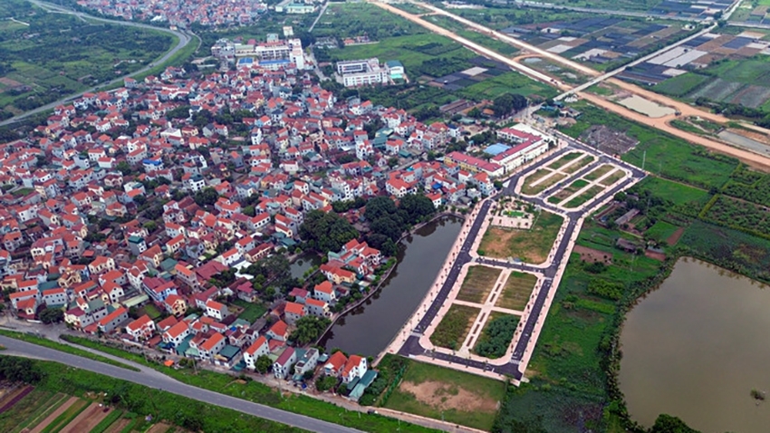 Đề xuất người bỏ cọc sẽ bị cấm tham gia đấu giá tới 10 năm - Ảnh minh họa: Minh Đức