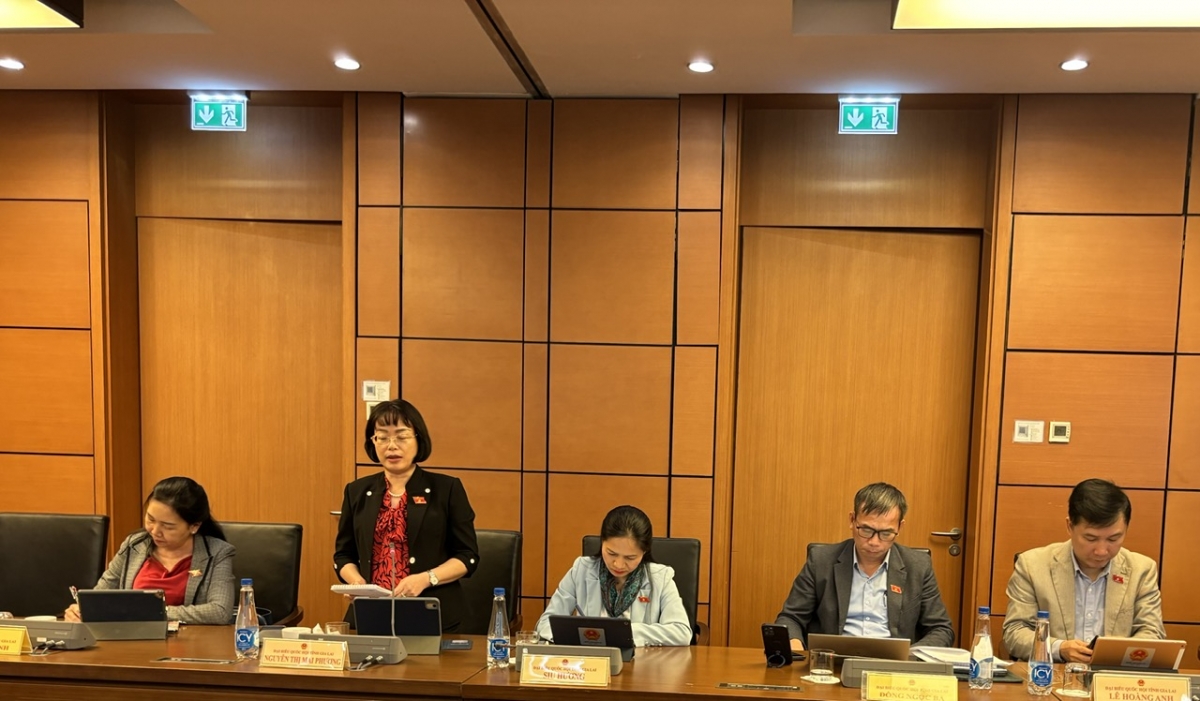 Đại biểu Nguyễn Thị Mai Phương đề nghị rà soát kỹ các quy định chi tiết và hướng dẫn thi hành để tránh chồng chéo.