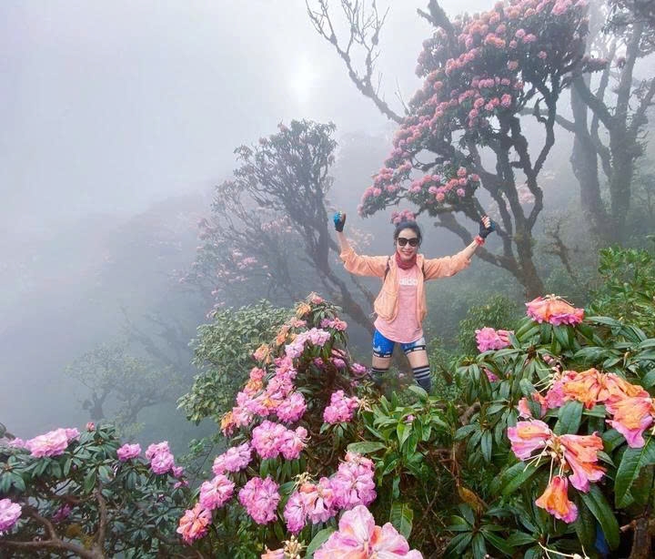 Du khách tham gia tour leo núi ngắm hoa đỗ quyên. (Ảnh: Cục Du lịch Quốc gia Việt Nam)